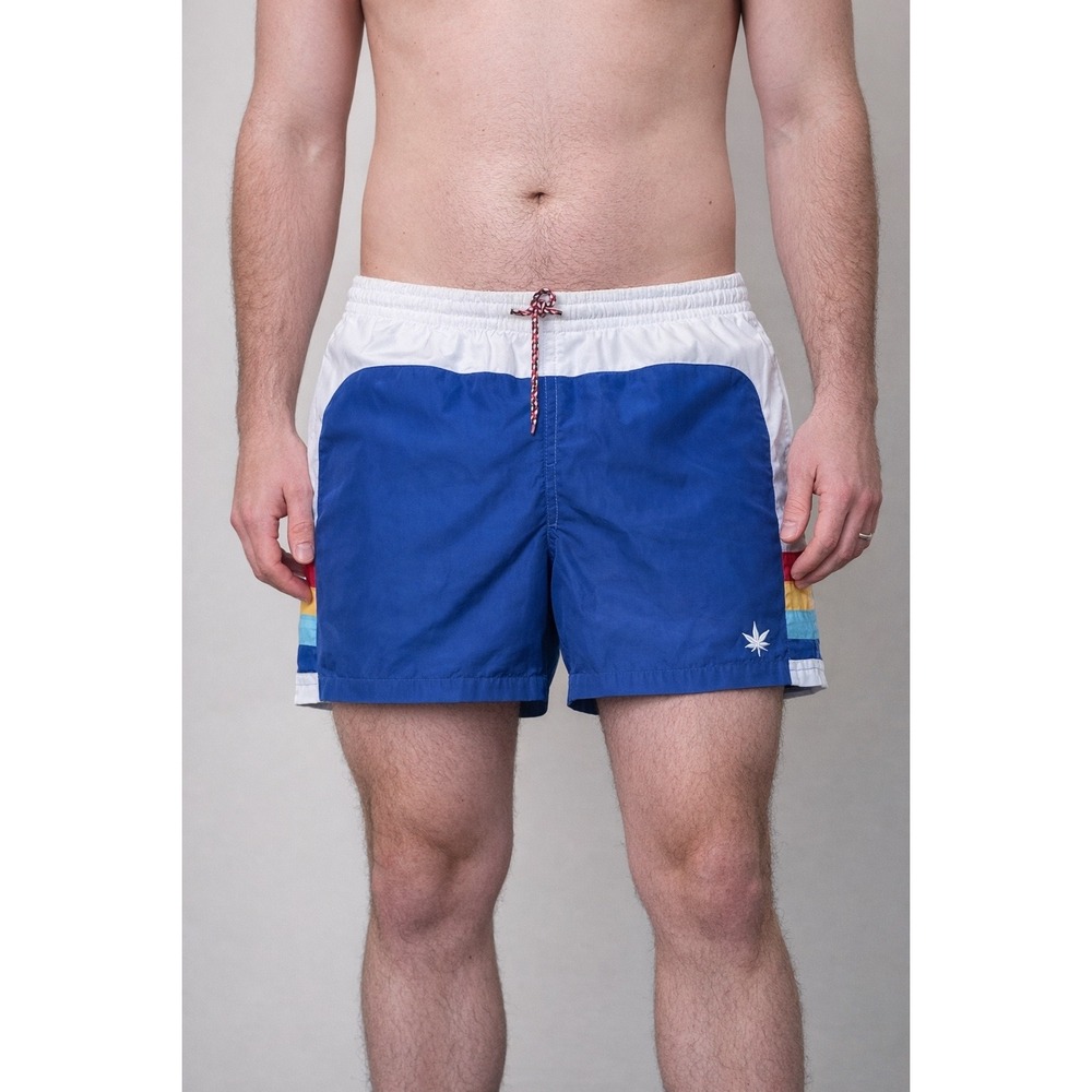 BOAST Mens Swim Trunks L Blue Colorblock Rainbow Stripe Preppy Shorts